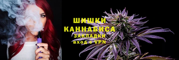 винт Вяземский