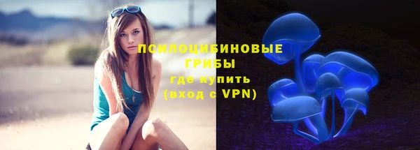 стафф Бердск