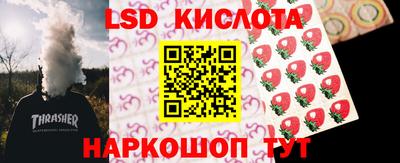 шишки Гай