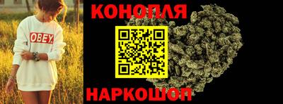 шишки Гай