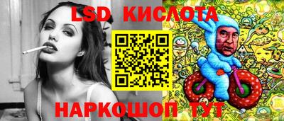 шишки Гай