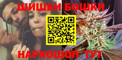 Альфа ПВП Гатчина