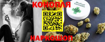 шишки Гай