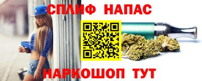 Альфа ПВП Гатчина