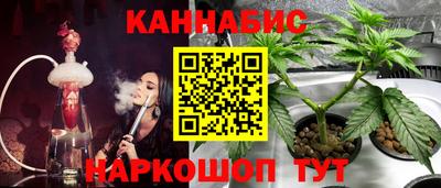 герыч Гагарин