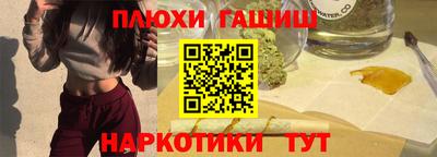 шишки Гай