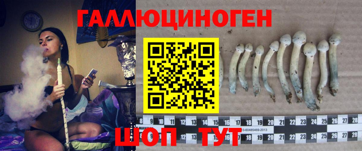 Псилоцибиновые грибы мухоморы  Дедовск 