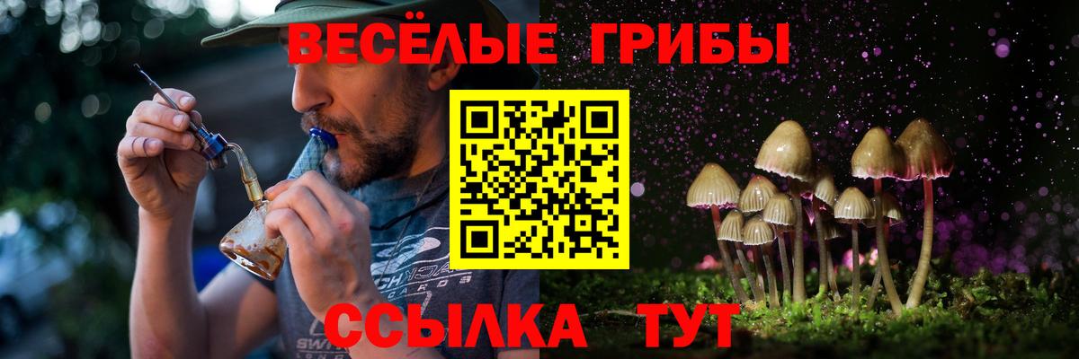 Галлюциногенные грибы Cubensis Дедовск