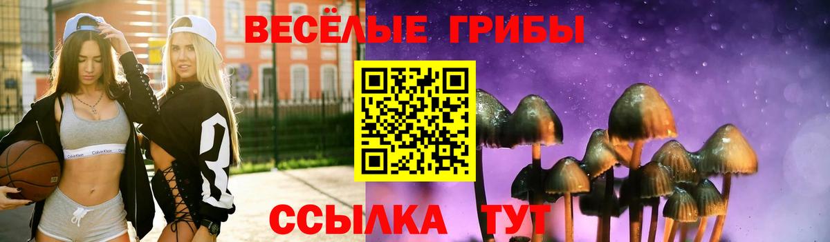 Псилоцибиновые грибы Magic Shrooms  Вход с VPN  Дедовск 