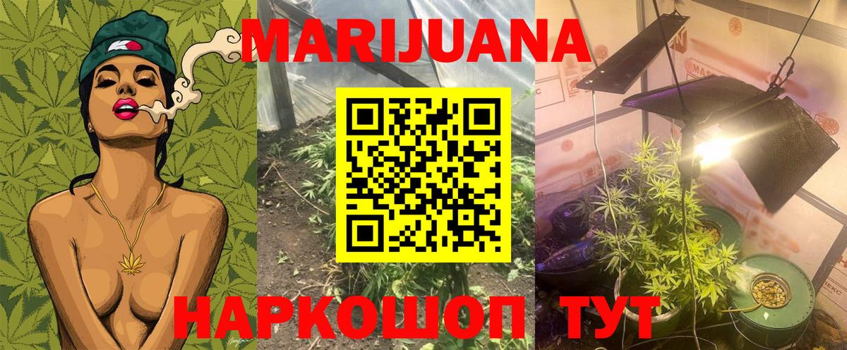 Каннабис сатива Дедовск